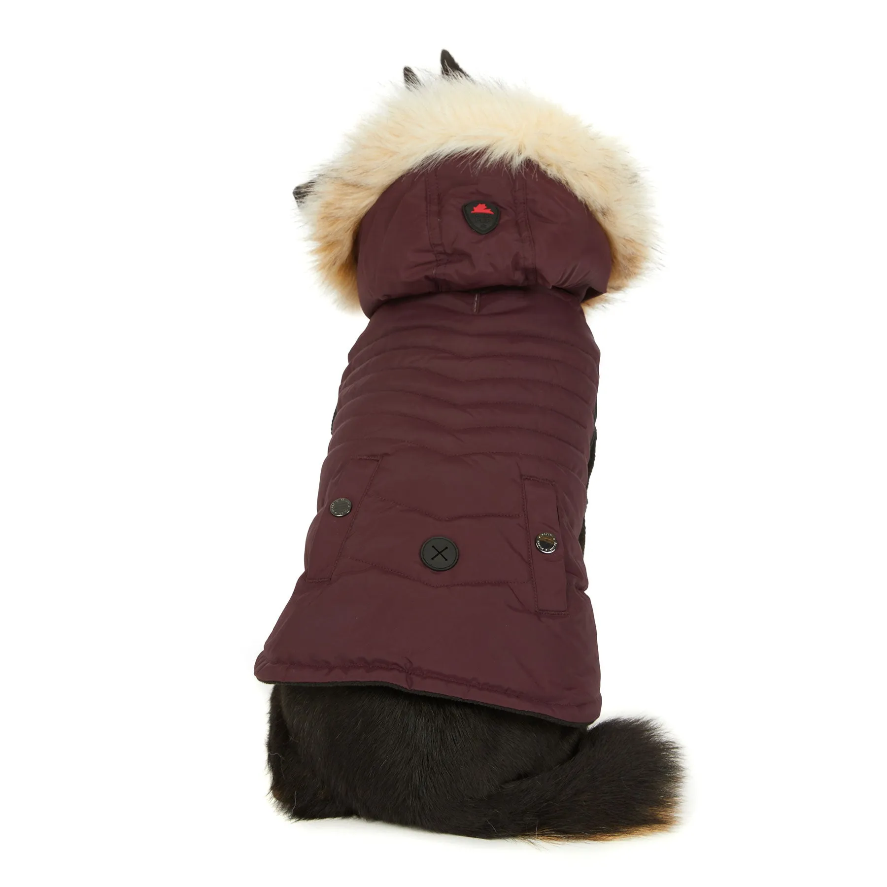 Toby Jacket for Dogs