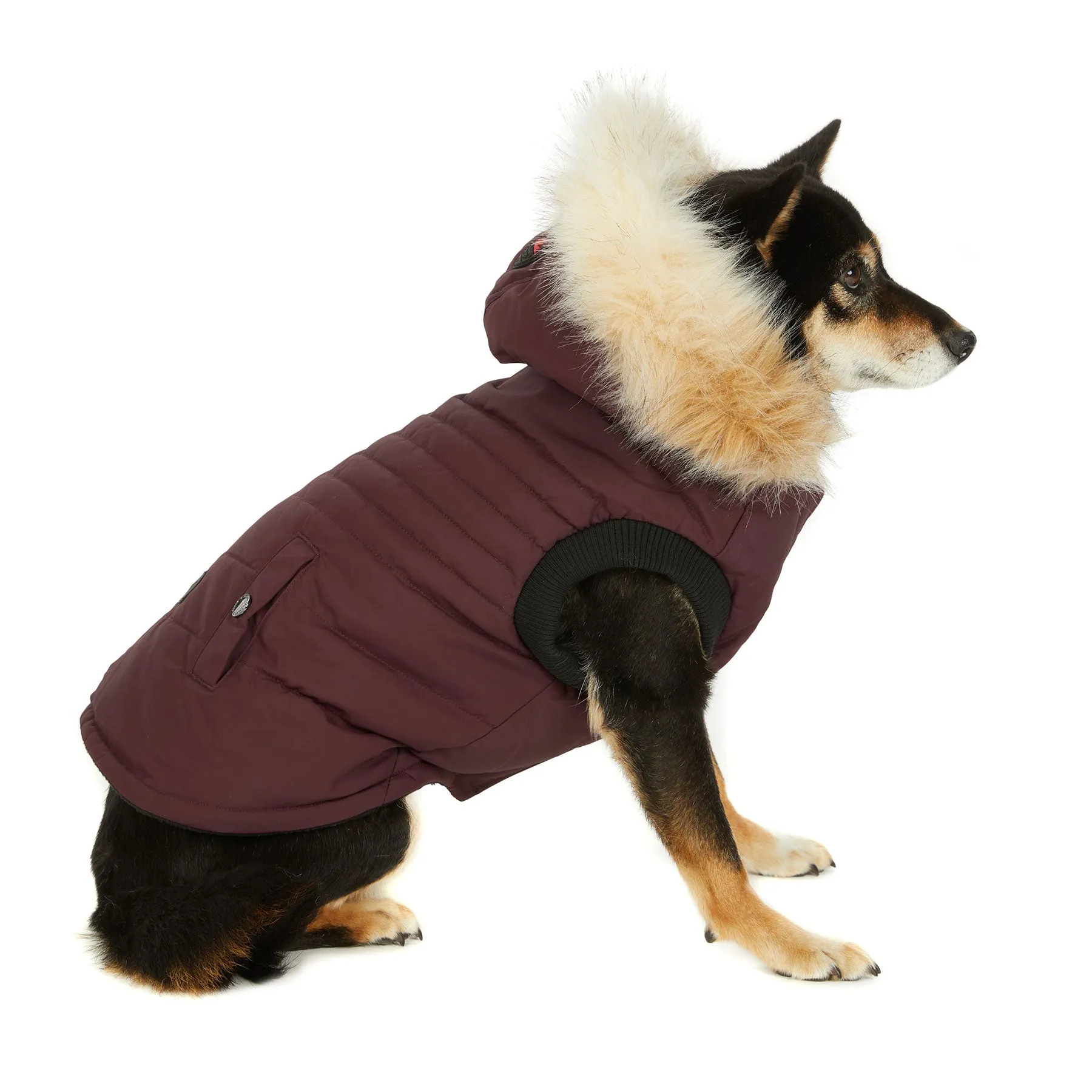 Toby Jacket for Dogs